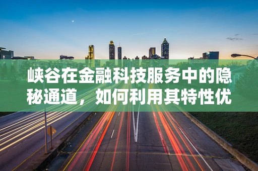 峡谷在金融科技服务中的隐秘通道，如何利用其特性优化风险评估？