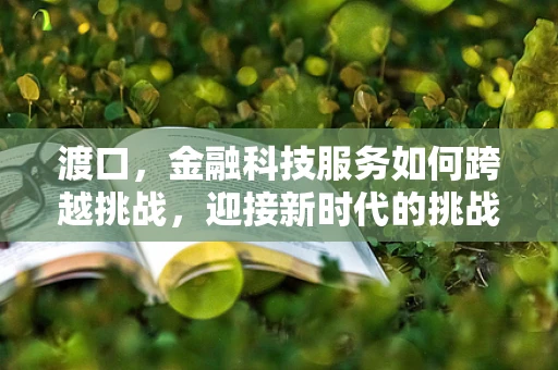 渡口，金融科技服务如何跨越挑战，迎接新时代的挑战？