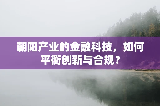 朝阳产业的金融科技，如何平衡创新与合规？