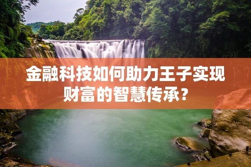 金融科技如何助力王子实现财富的智慧传承？