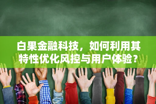 白果金融科技，如何利用其特性优化风控与用户体验？