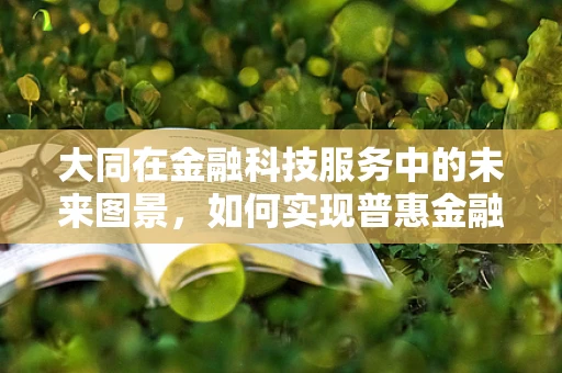 大同在金融科技服务中的未来图景，如何实现普惠金融的终极目标？