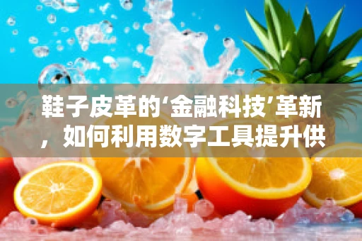 鞋子皮革的‘金融科技’革新，如何利用数字工具提升供应链效率？