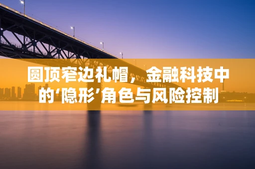 圆顶窄边礼帽，金融科技中的‘隐形’角色与风险控制