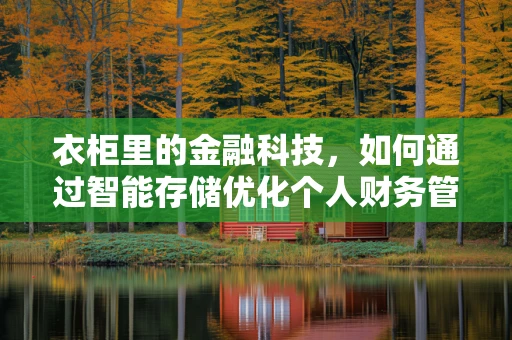 衣柜里的金融科技，如何通过智能存储优化个人财务管理？