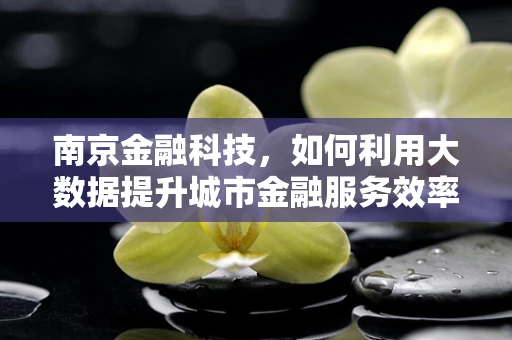 南京金融科技，如何利用大数据提升城市金融服务效率？