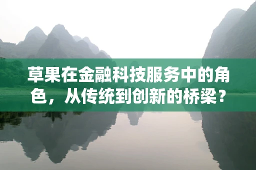 草果在金融科技服务中的角色，从传统到创新的桥梁？