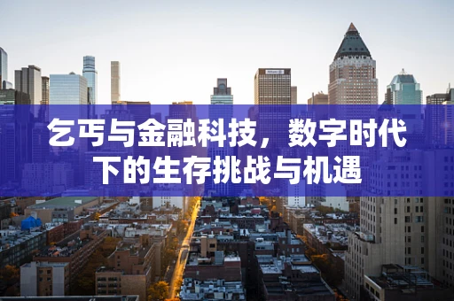 乞丐与金融科技，数字时代下的生存挑战与机遇