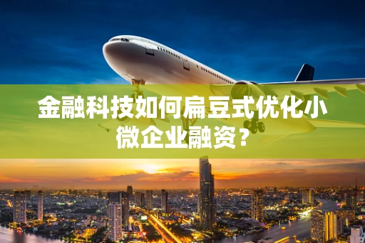 金融科技如何扁豆式优化小微企业融资？