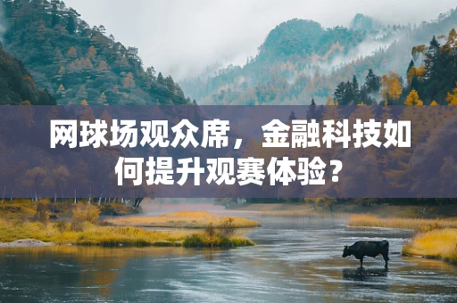 网球场观众席，金融科技如何提升观赛体验？