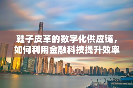 鞋子皮革的数字化供应链，如何利用金融科技提升效率与透明度？