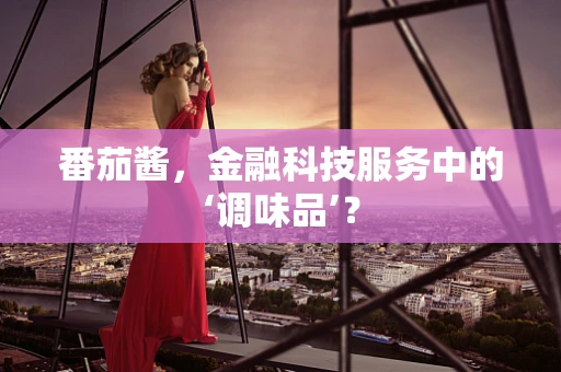 番茄酱，金融科技服务中的‘调味品’？
