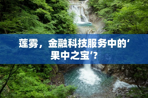 莲雾，金融科技服务中的‘果中之宝’?