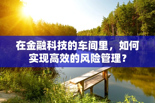 在金融科技的车间里，如何实现高效的风险管理？