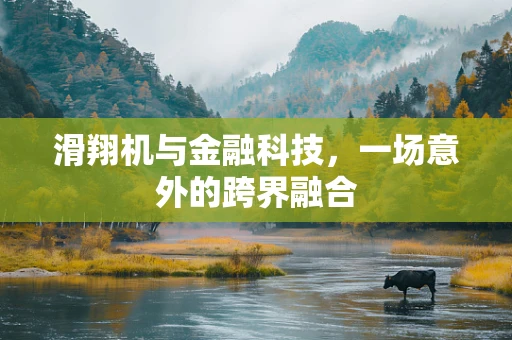 滑翔机与金融科技，一场意外的跨界融合