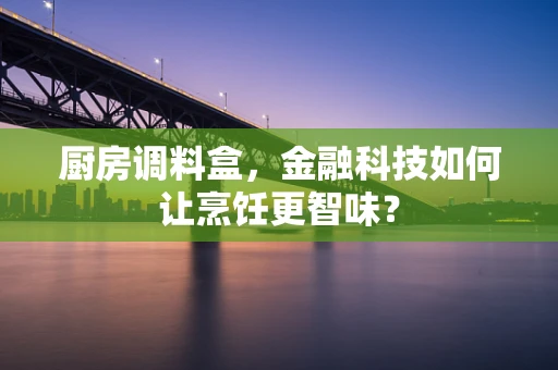 厨房调料盒，金融科技如何让烹饪更智味？