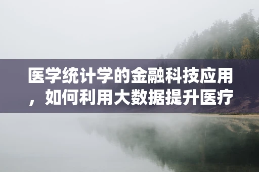 医学统计学的金融科技应用，如何利用大数据提升医疗决策的精准性？