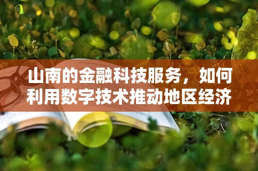 山南的金融科技服务，如何利用数字技术推动地区经济发展？