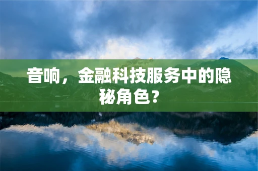 音响，金融科技服务中的隐秘角色？