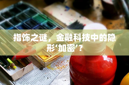 指饰之谜，金融科技中的隐形‘加密’？