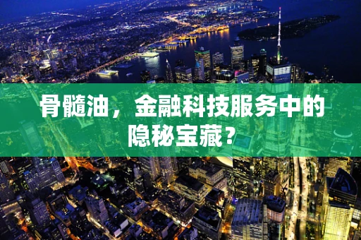 骨髓油，金融科技服务中的隐秘宝藏？