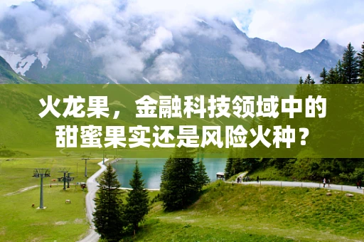 火龙果，金融科技领域中的甜蜜果实还是风险火种？