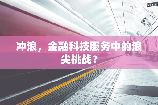 冲浪，金融科技服务中的浪尖挑战？