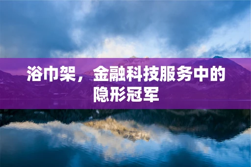 浴巾架，金融科技服务中的隐形冠军