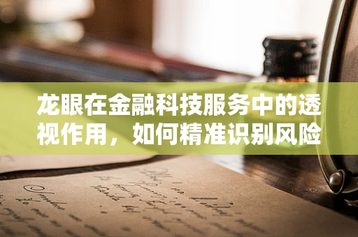 龙眼在金融科技服务中的透视作用，如何精准识别风险？