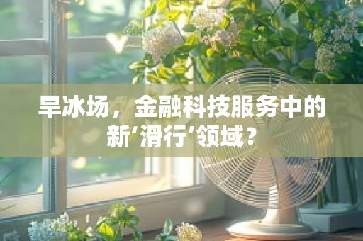 旱冰场，金融科技服务中的新‘滑行’领域？