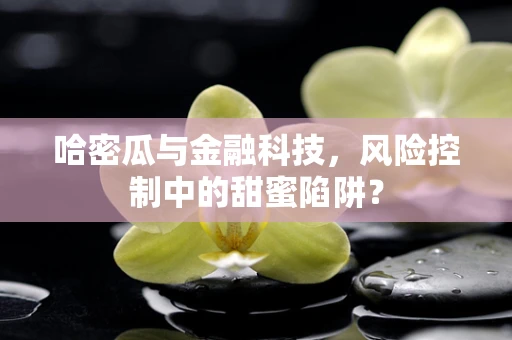 哈密瓜与金融科技，风险控制中的甜蜜陷阱？