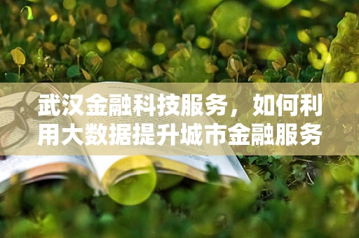 武汉金融科技服务，如何利用大数据提升城市金融服务效率？