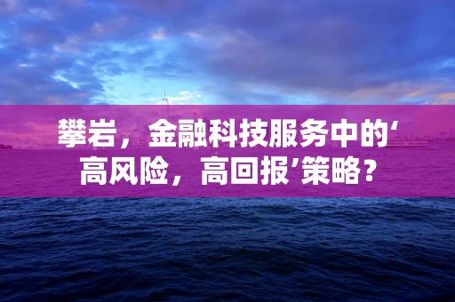 攀岩，金融科技服务中的‘高风险，高回报’策略？
