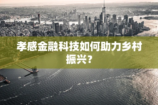 孝感金融科技如何助力乡村振兴？