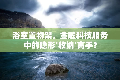 浴室置物架，金融科技服务中的隐形‘收纳’高手？