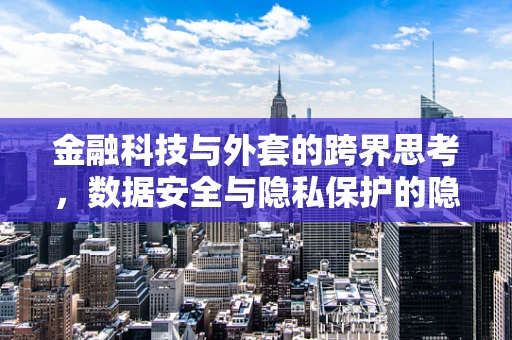 金融科技与外套的跨界思考，数据安全与隐私保护的隐形守护者
