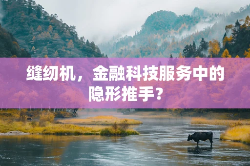 缝纫机，金融科技服务中的隐形推手？