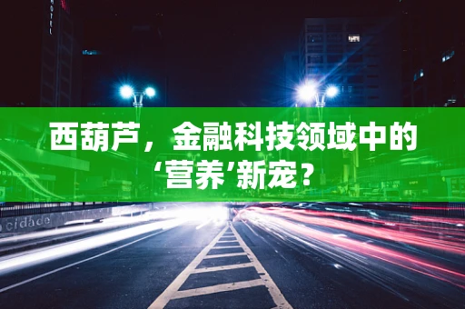 西葫芦，金融科技领域中的‘营养’新宠？
