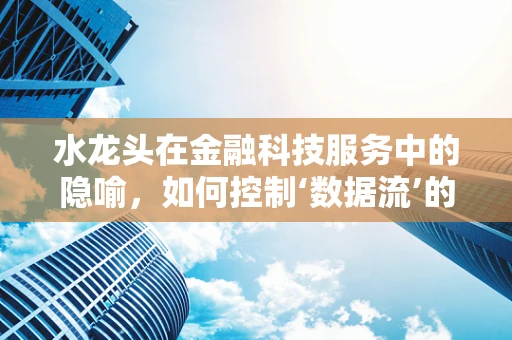 水龙头在金融科技服务中的隐喻，如何控制‘数据流’的‘开与关’？