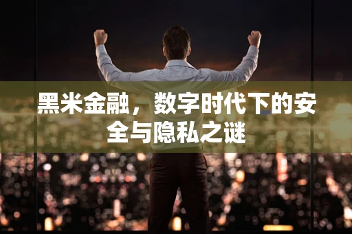 黑米金融，数字时代下的安全与隐私之谜