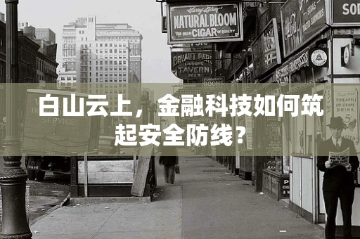 白山云上，金融科技如何筑起安全防线？