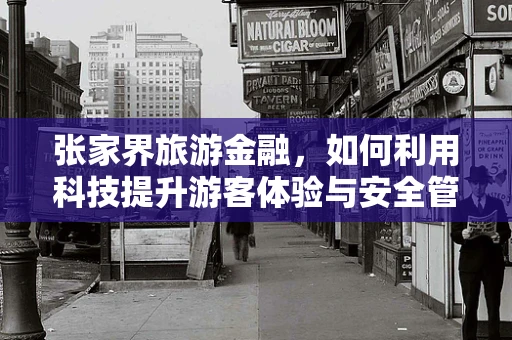 张家界旅游金融，如何利用科技提升游客体验与安全管理？