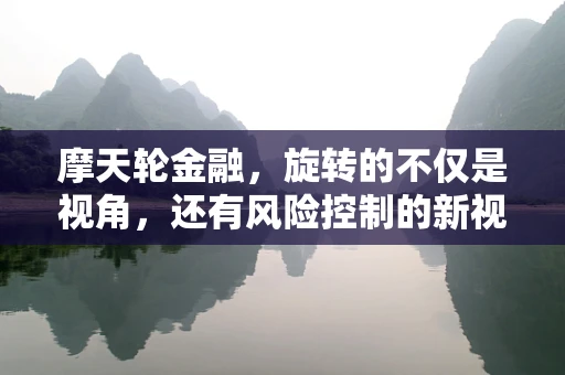 摩天轮金融，旋转的不仅是视角，还有风险控制的新视角吗？