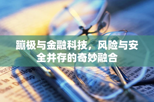 蹦极与金融科技，风险与安全并存的奇妙融合