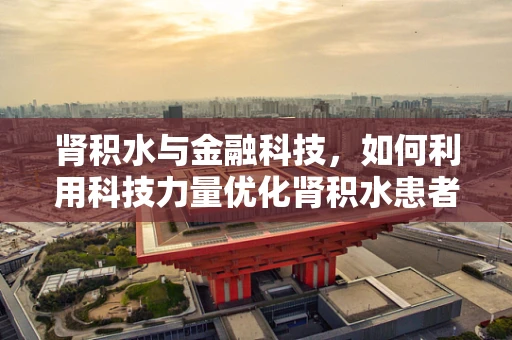 肾积水与金融科技，如何利用科技力量优化肾积水患者的诊疗体验？