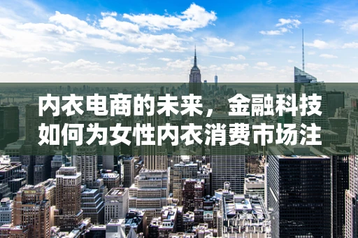 内衣电商的未来，金融科技如何为女性内衣消费市场注入新活力？