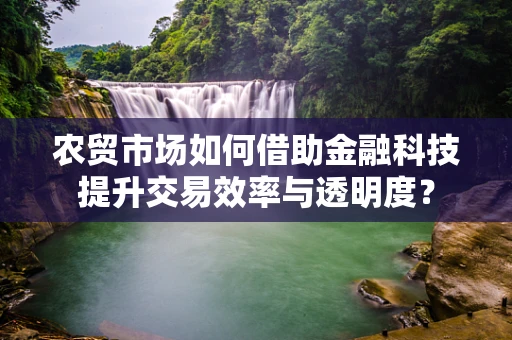 农贸市场如何借助金融科技提升交易效率与透明度？