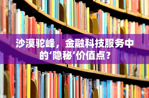沙漠驼峰，金融科技服务中的‘隐秘’价值点？