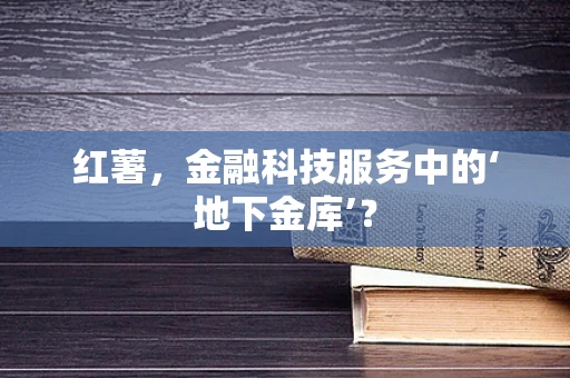 红薯，金融科技服务中的‘地下金库’？