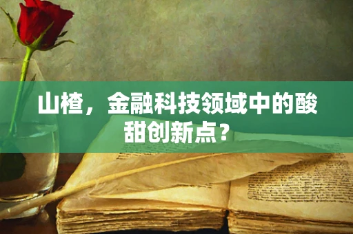 山楂，金融科技领域中的酸甜创新点？